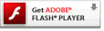 ADOBE FLASH PLAYER̃_E[h